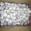 Wholesale Price for Chinese Fresh White Garlic